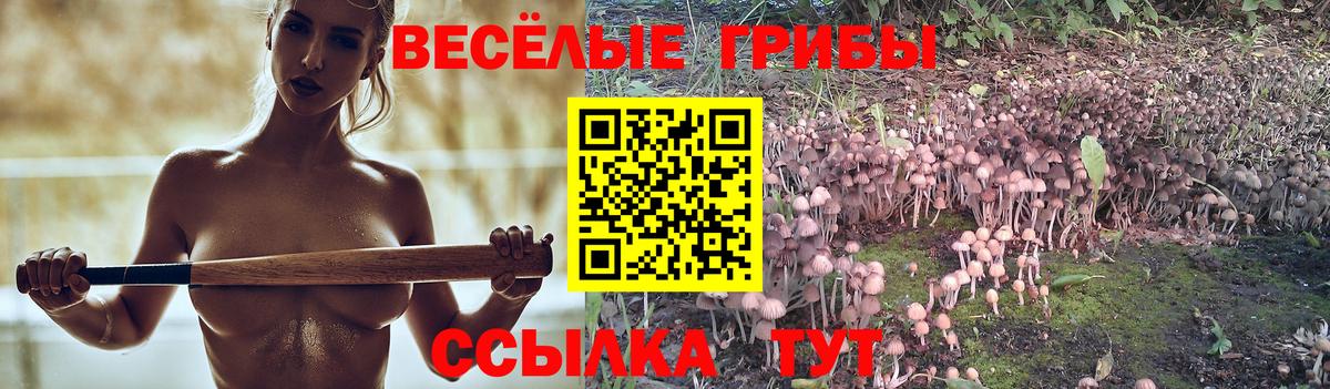 Псилоцибиновые грибы Cubensis  купить  сайты  Мегион  Вход с VPN  Псилоцибиновые грибы Cubensis 