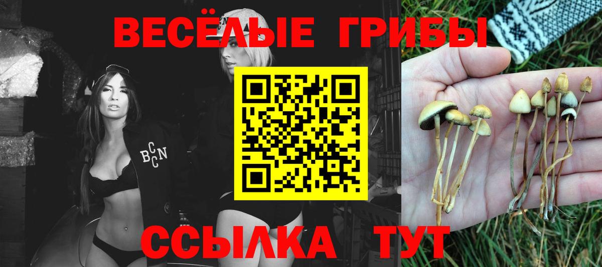 Псилоцибиновые грибы ЛСД Мегион
